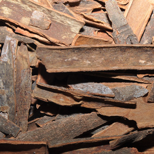 Lavanga Pattai (Cinnamon Bark)